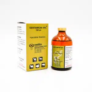 Gentamicin 10% Injection by Uvedco