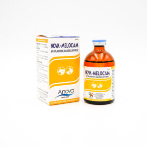 Nova Melocam