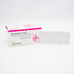 Clavaseptin 62.5mg by Vetoquinol