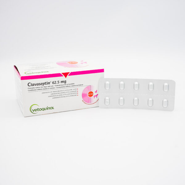 Clavaseptin 62.5mg by Vetoquinol