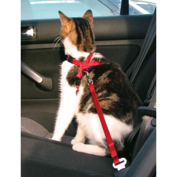 Car Harness for Cats by Trixie