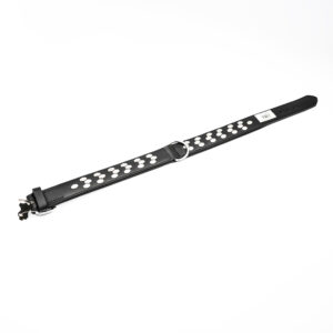 Active Collar with Studs by Trixie