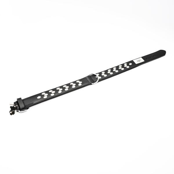 Active Collar with Studs by Trixie