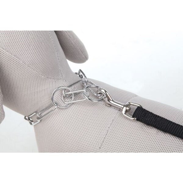 Long Link Choke Chain by Trixie