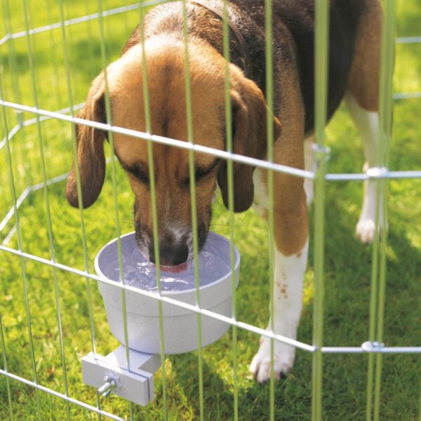 Crock Jumbo Cage Food Bowl - Transgroom