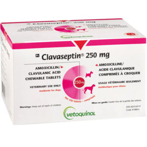 CLAVASEPTIN 250 MG by Vetoquinol
