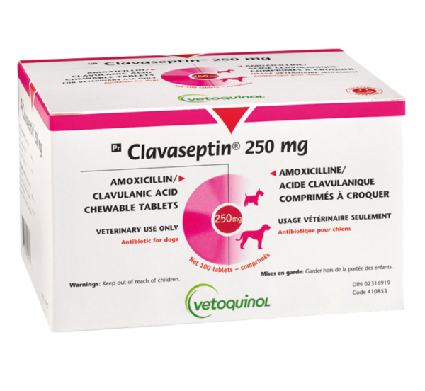 CLAVASEPTIN 250 MG by Vetoquinol