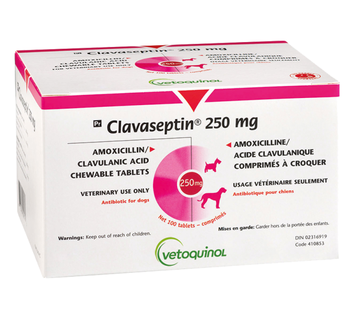 CLAVASEPTIN 250 MG by Vetoquinol