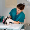veterinary-clinic-1