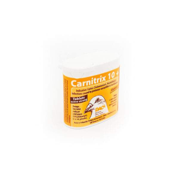 CARNITRIX 10+ 50T - DAC PHARMA