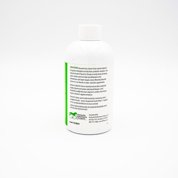 ELEVATE WS 8 OZ - KENTUCKY