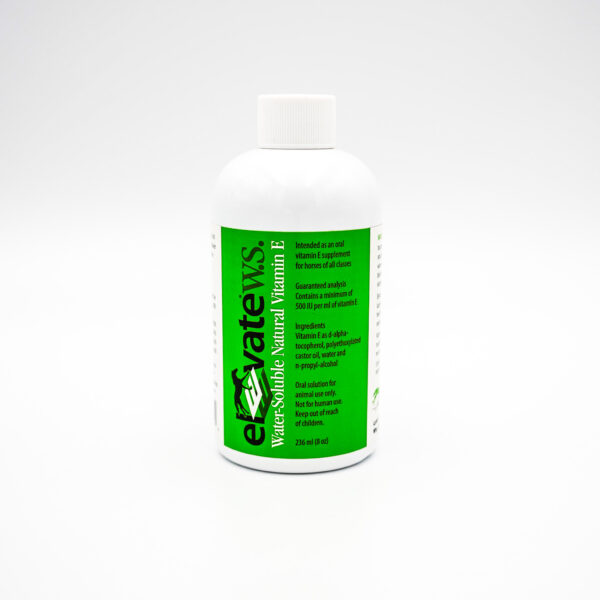 ELEVATE WS 8 OZ - KENTUCKY