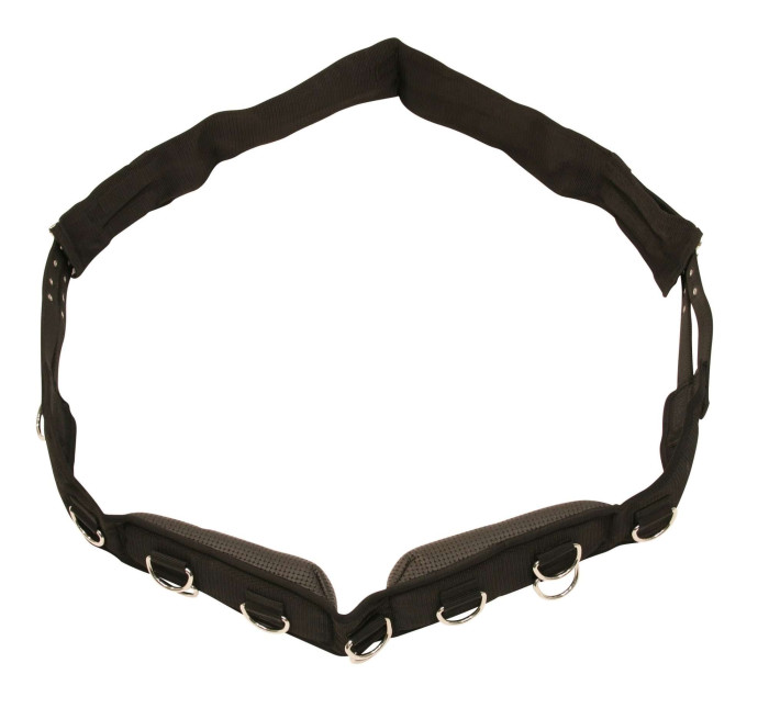 LUNGE, STANDARD, WITH 9 RINGS, - ADJUSTABLE GIRTH - KERBL