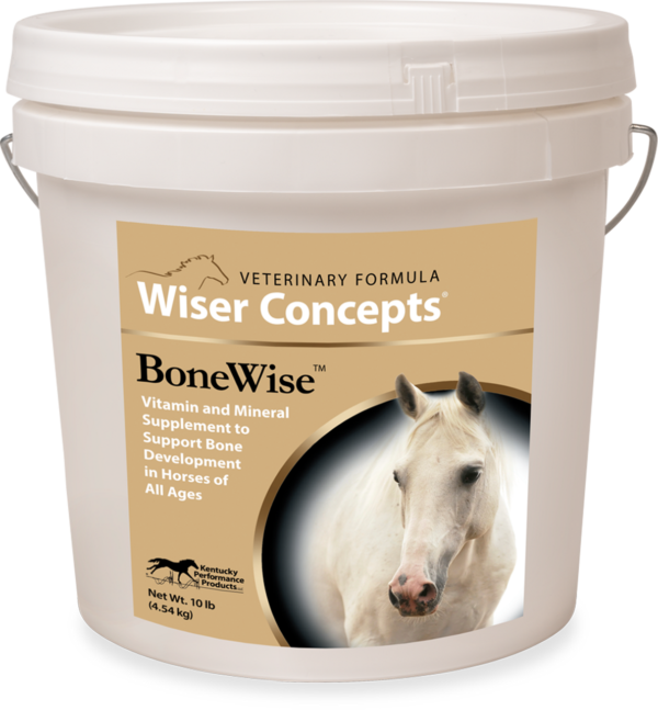Wiser-Concepts-BoneWise-Kentucky Performance