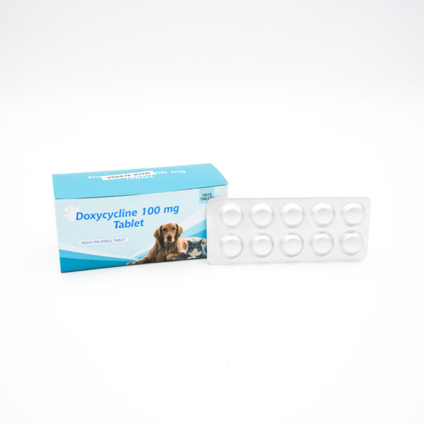 Doxycycline 100 mg Chewable Tablets by Reyaansh