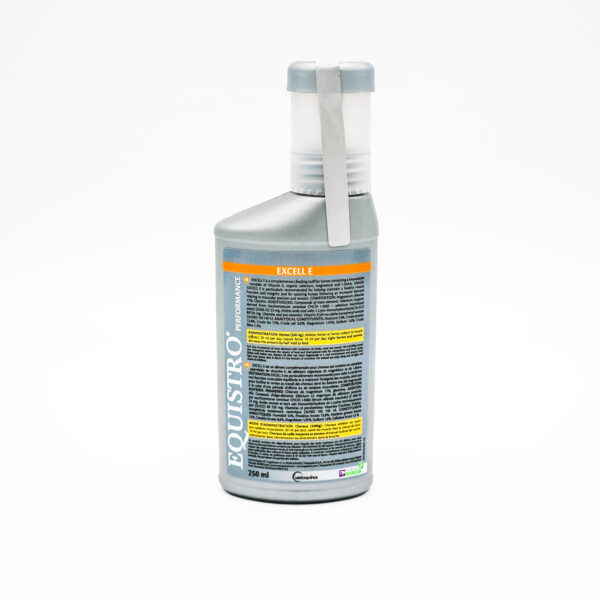 Excell E by Equistro