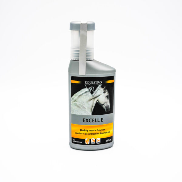 Excell E by Equistro