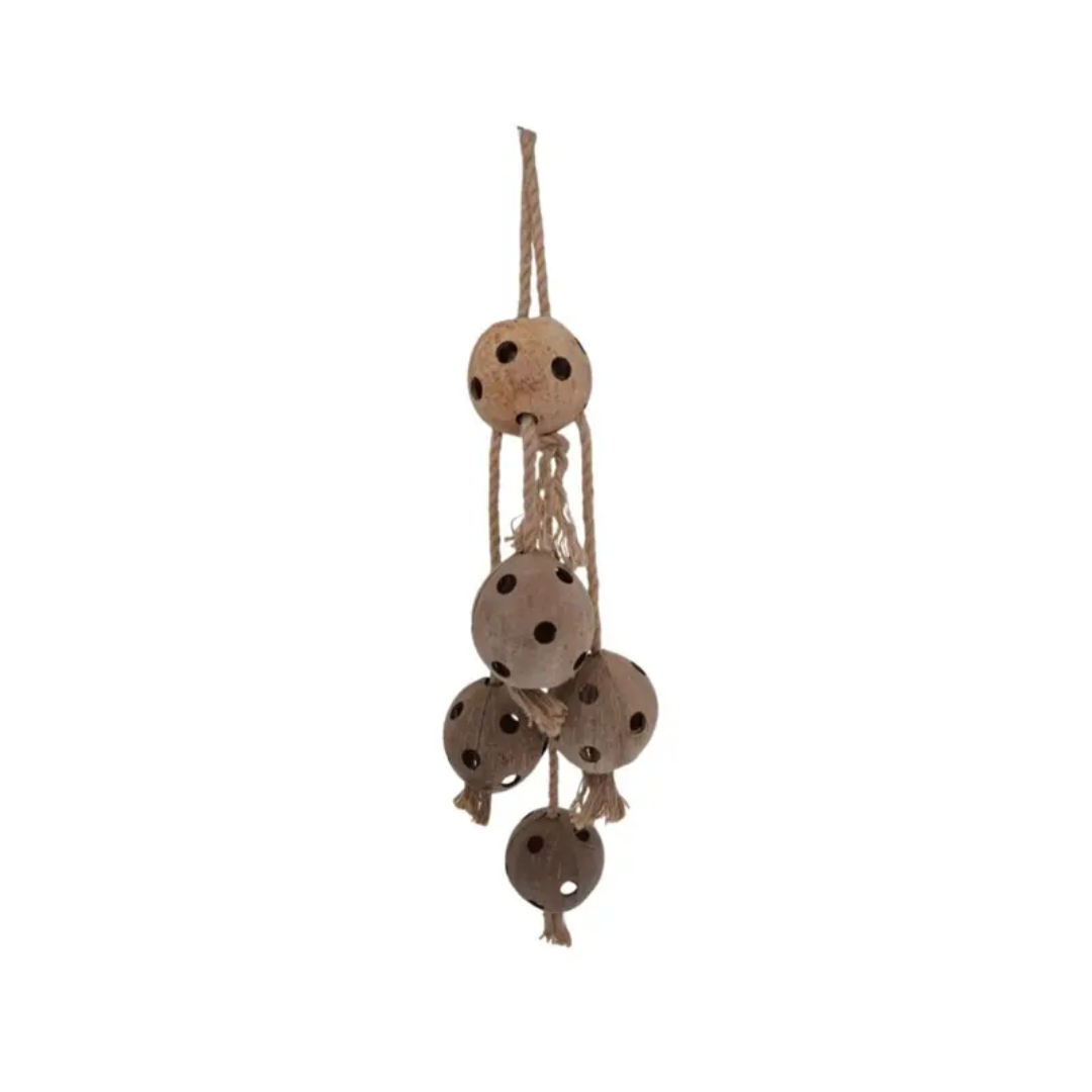 Coconuts on a Jute Rope by Trixie