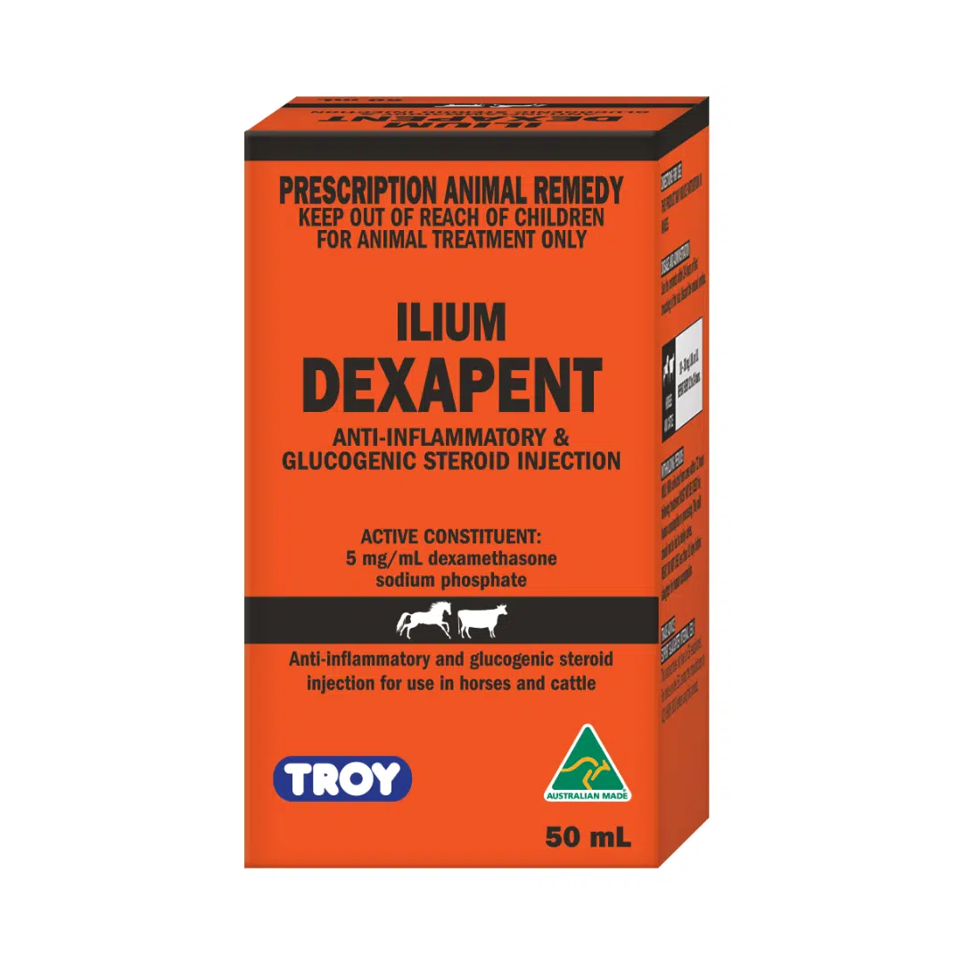 Dexapent Injection 50 mL by Ilium
