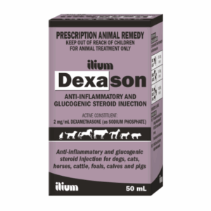 Dexason Injection 50 mL by Ilium