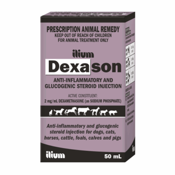 Dexason Injection 50 mL by Ilium