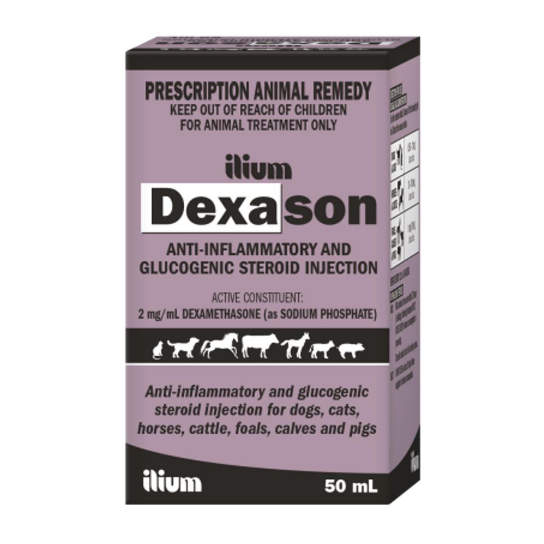 Dexason Injection 50 mL by Ilium