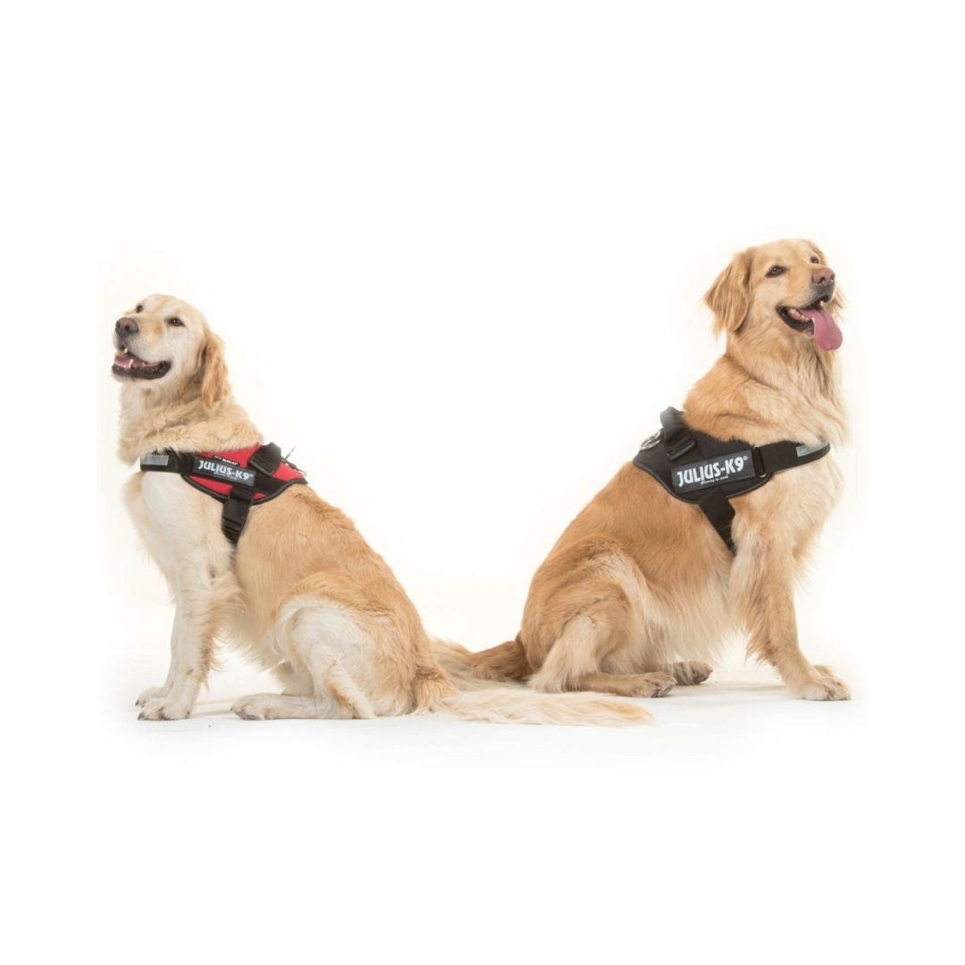 Julius-K9 IDC Powerharness by Trixie