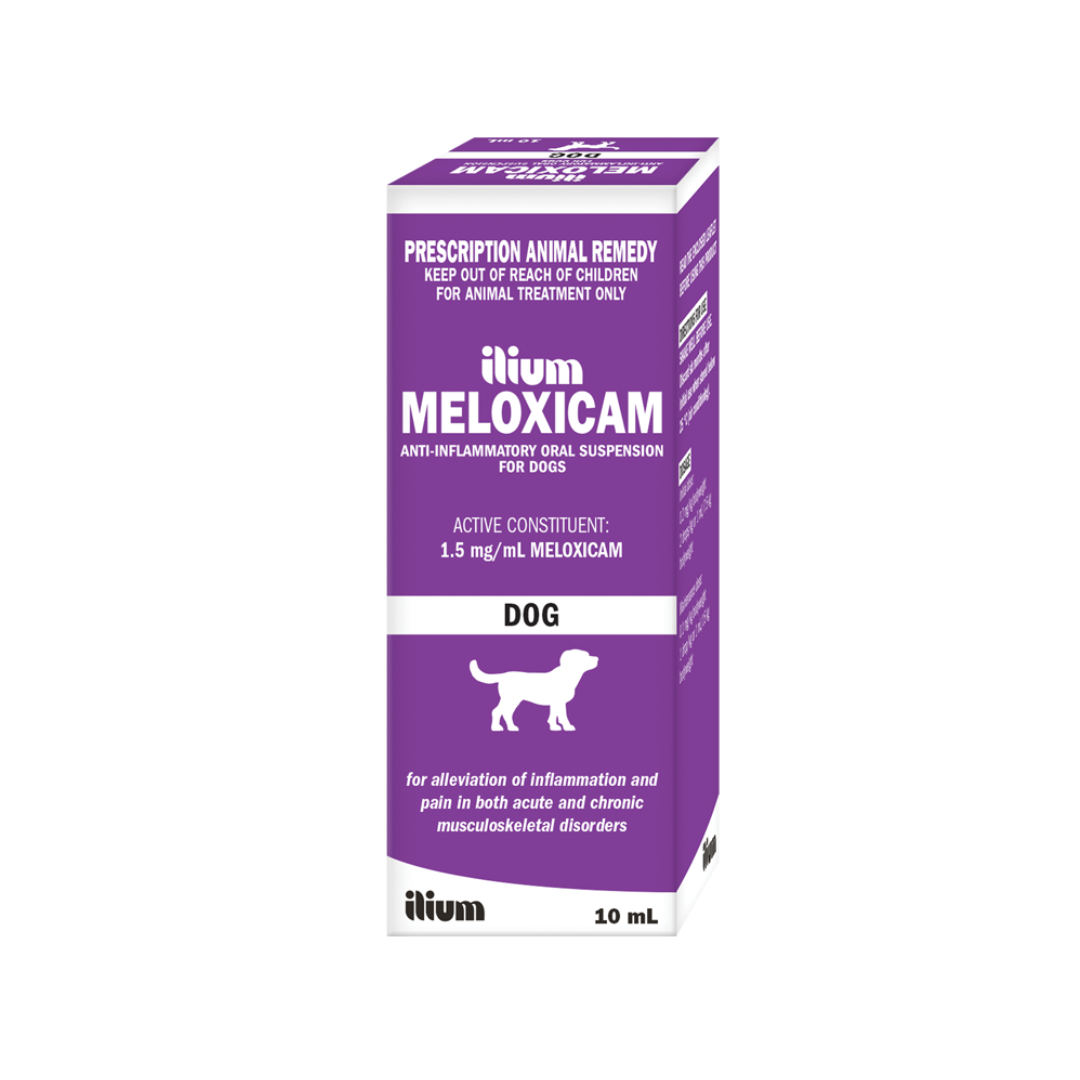Meloxicam 1.5mg/ml Suspension for Dogs by Ilium
