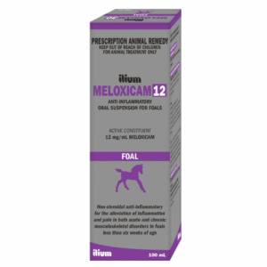 Meloxicam 12 Suspension for Foals by Ilium