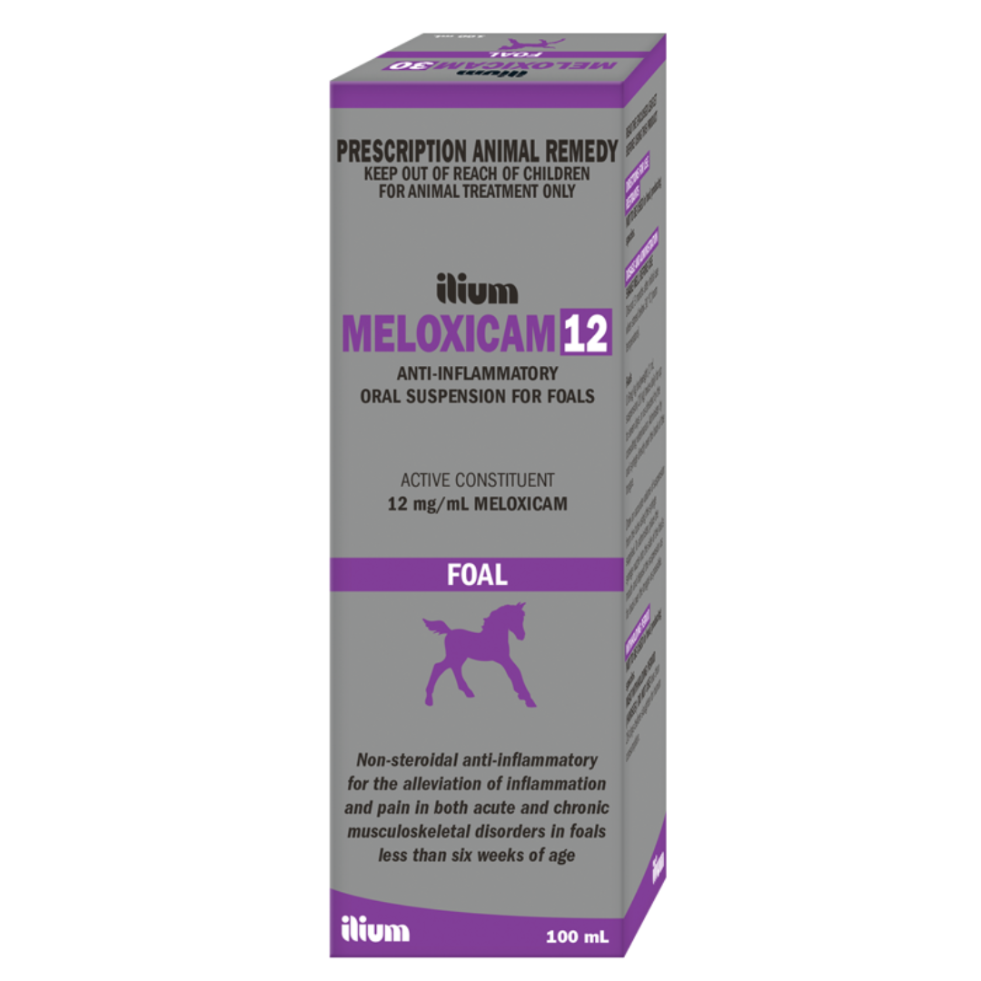 Meloxicam 12 Suspension for Foals by Ilium