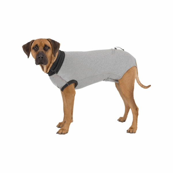 Protective Body for Dogs by Trixie