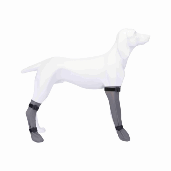 Protective Sock for Dog (Silicone) by Trixie