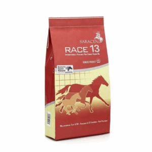 Race 13 by Saracen
