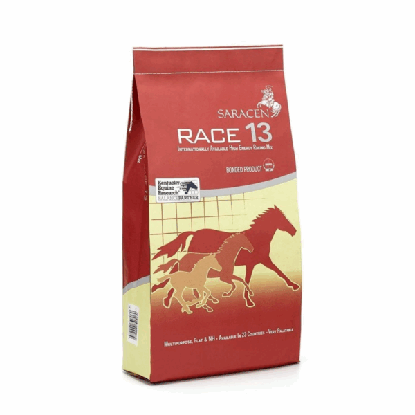 Race 13 by Saracen
