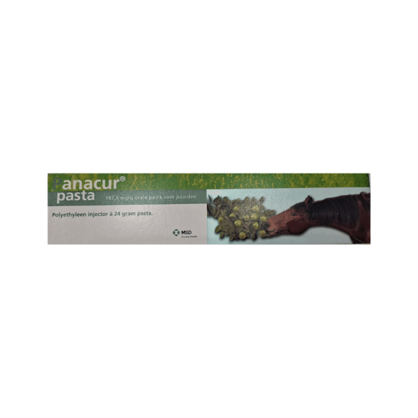 Panacur Equine Oral Paste by MSD