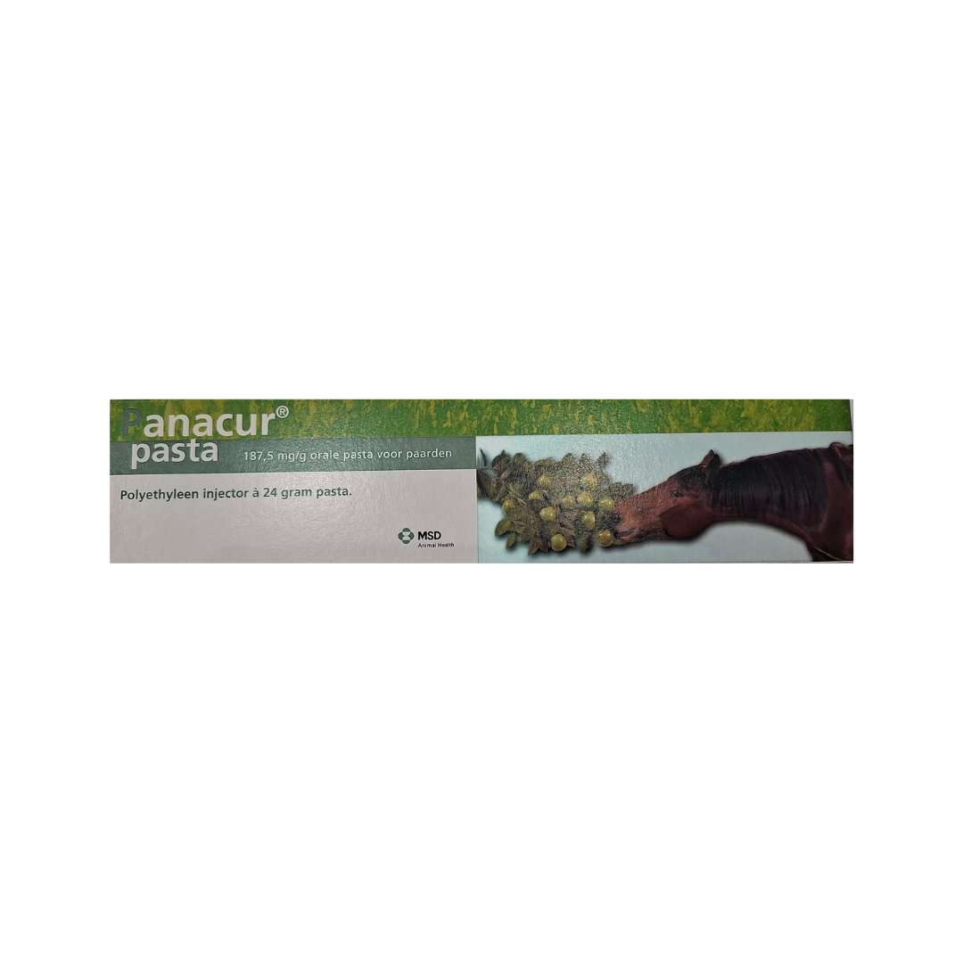 Panacur Equine Oral Paste by MSD