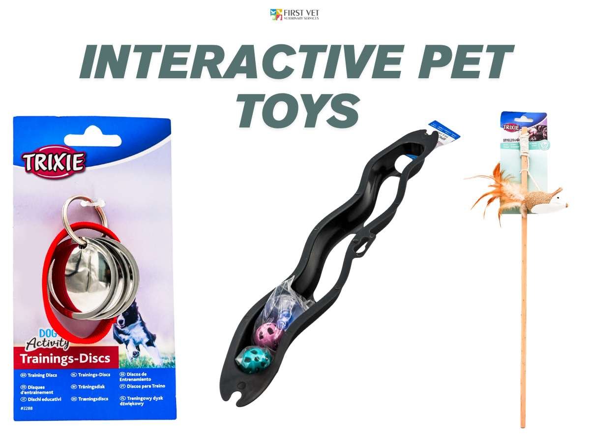 Interactive pet toys