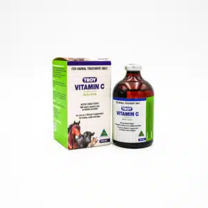 VITAMIN-C_INJECTION_100ML_