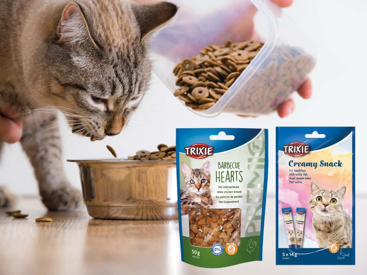 cat treats