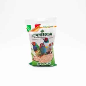 Exotic Best Premium by Manitoba