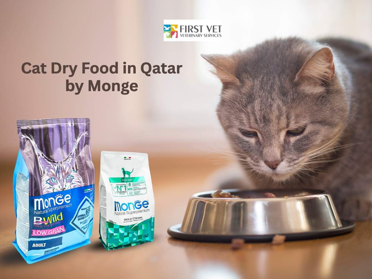 Cat Dry Food in Qatar by Monge
