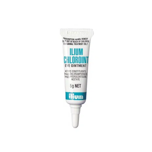 Chloroint Eye Ointment by Ilium