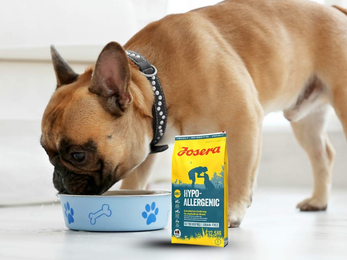 Dog Food