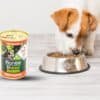 Wet Food For Dogs