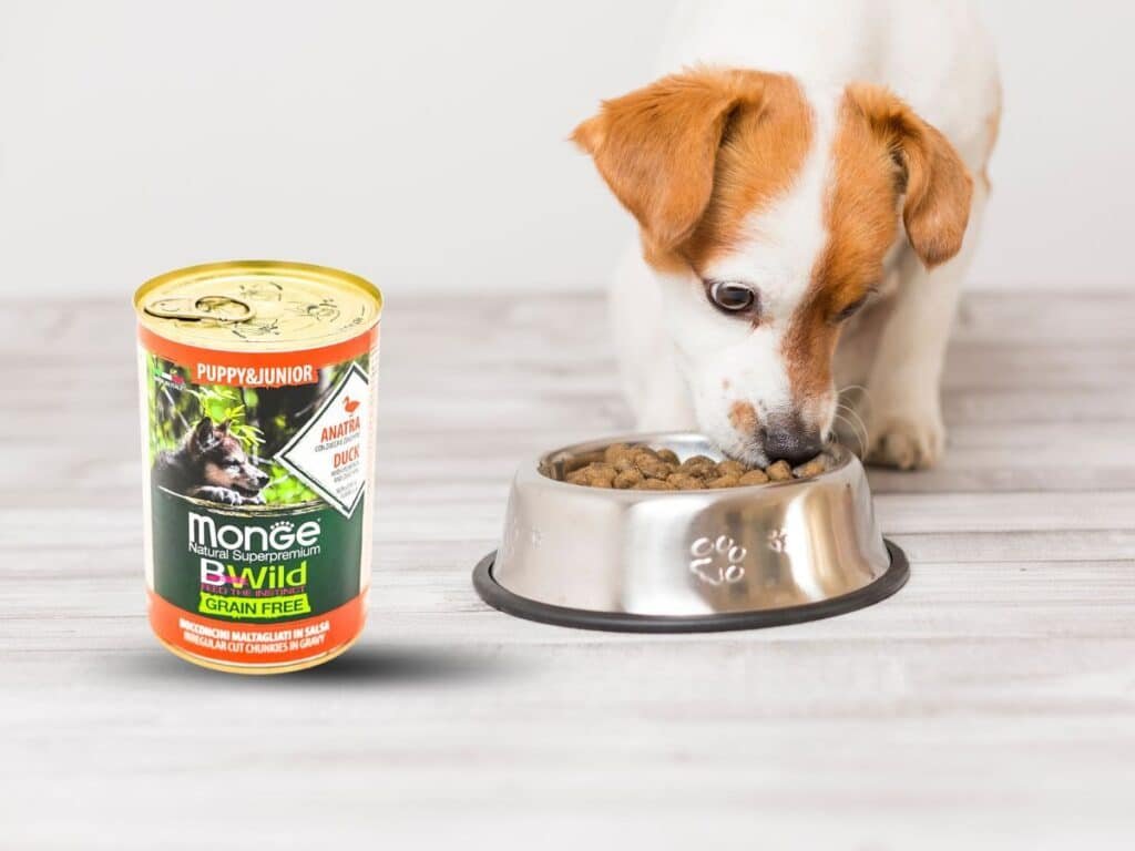 Wet Food For Dogs
