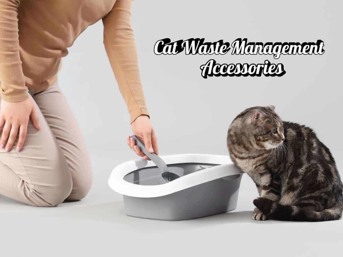 Cat Waste Management Accessories
