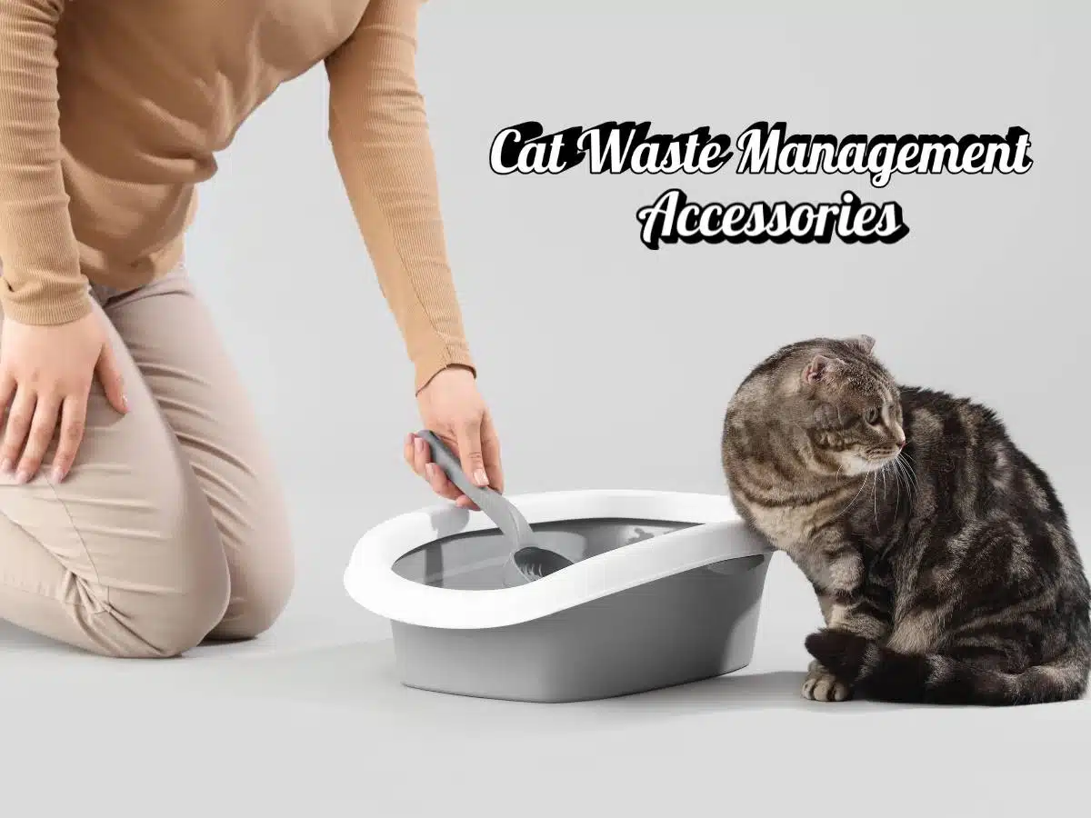 Cat Waste Management Accessories