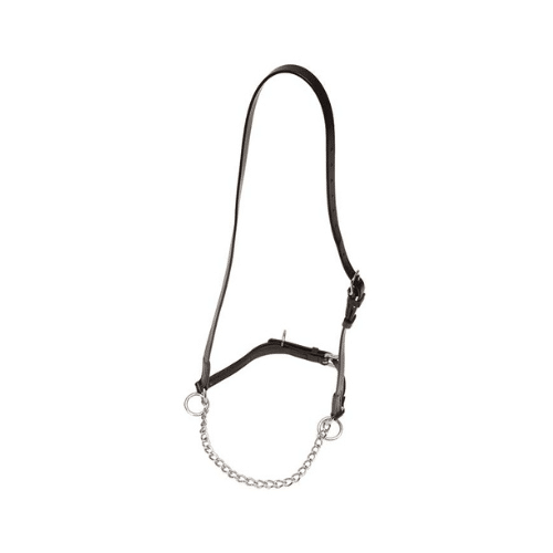 Chain Nose Pole Halter by Zilco