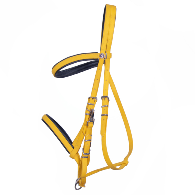 PVC Biothane Bridle (Pony / Cob / Full) by First Rider