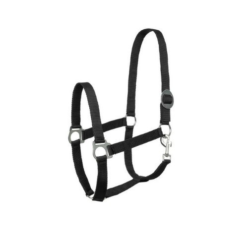 Basic Halter by Horze